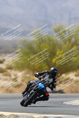 media/Apr-10-2022-SoCal Trackdays (Sun) [[f104b12566]]/Turn 5 Tree of Life (1040am)/